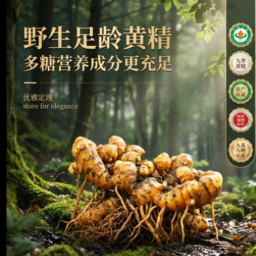 宣传图3